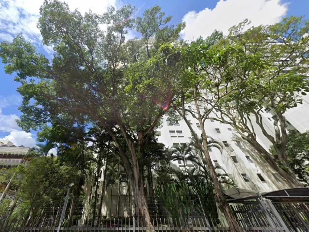 Apartamento 41 m² (01 Vaga) - Aclimação - São Paulo - SP — foto 4