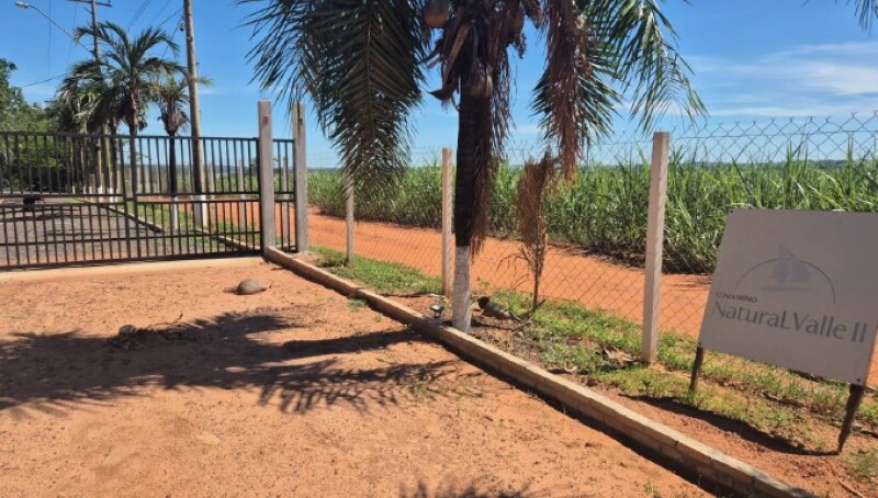 LOTE 001 Terreno no Residencial Natural Valle II, área de 600m², Santo Antônio do Aracanguá/SP — foto 4