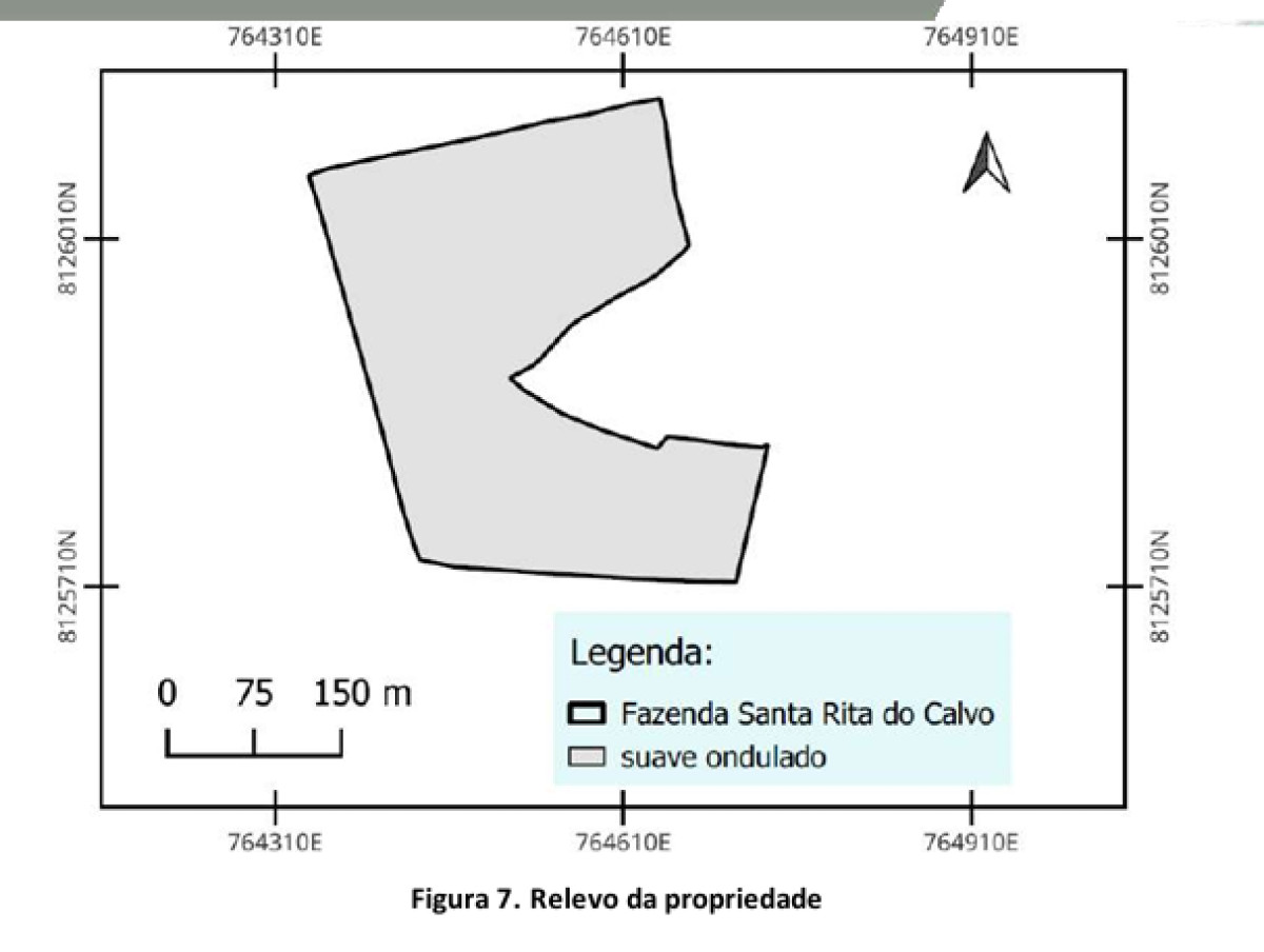 Imóvel Rural Localizado no Município de Vianópolis/go, Registrado Sob a Matrícula Nº 4.093. — foto 4