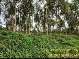 Terreno Rural 13,85 Hectares, Situado Na Localidade De Serra Das Abelhas, A 14 Km Da Sede Do Município De Vitor Meireles/SC — foto 5