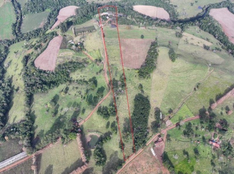 Lote 005 [24.097] Parte de Lote Rural de 75.000,00m² em Iraceminha/SC