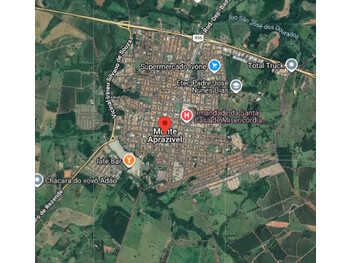 Leilão judicial de Fazenda em Monte Aprazível/SP - Jaragua