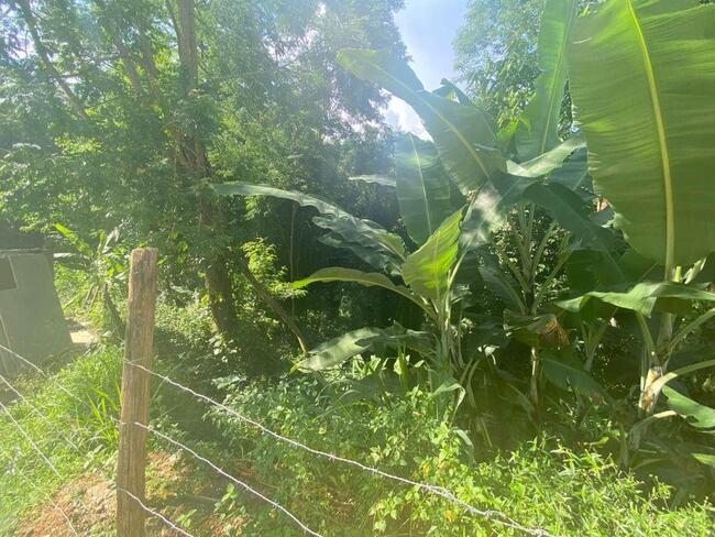Terrenos Em Cantagalo - Garatucaia — foto 3
