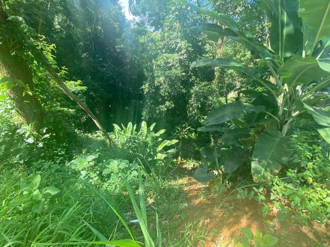 Terrenos Em Cantagalo - Garatucaia — foto 4