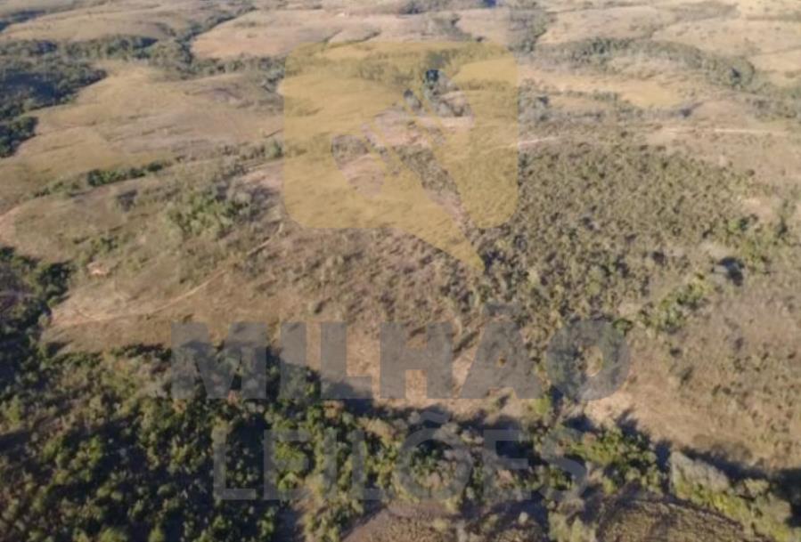 Fazenda de 43,2ha em Presidente Olegário Leilão Extrajudicial - Fazenda de 43,2ha