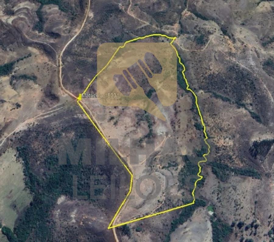 Fazenda de 43,2ha em Presidente Olegário Leilão Extrajudicial - Fazenda de 43,2ha — foto 3