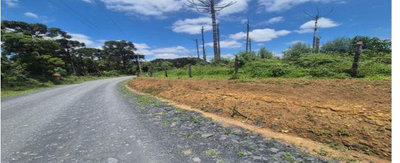 Terreno rural com área de 238.216,113m², situado na Localidade de Pinhalzinho, São João do Triunfo/PR — foto 2