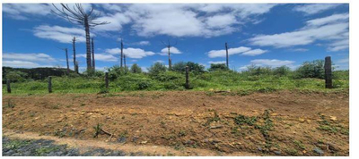 Terreno rural com área de 238.216,113m², situado na Localidade de Pinhalzinho, São João do Triunfo/PR — foto 3