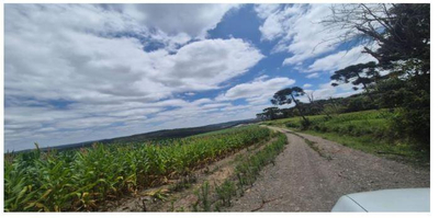 Terreno rural com área de 238.216,113m², situado na Localidade de Pinhalzinho, São João do Triunfo/PR — foto 4