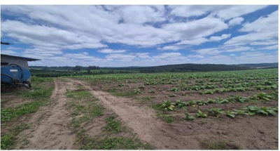Terreno rural com área de 537.240,00m² , contendo 02 casa e dois galpões, situado na Localidade de Pinhalzinho, São João do Triunfo/PR — foto 5