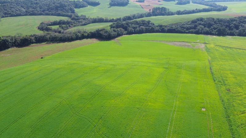 LOTE 001-1 imo — foto 4