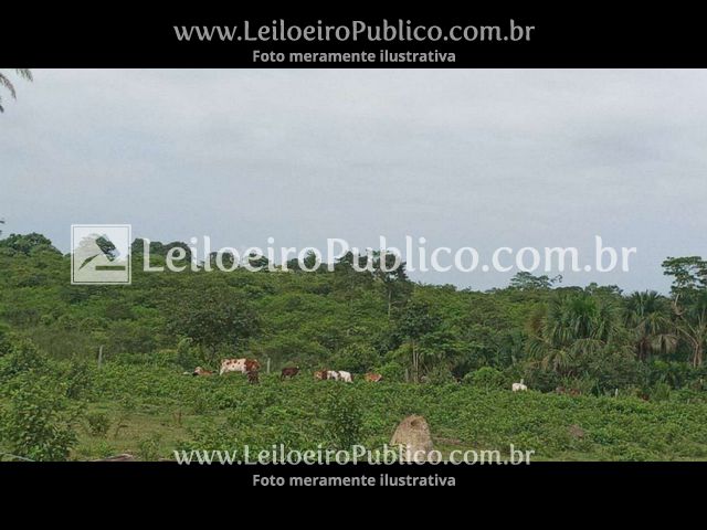 Alta Floresta (Mt): Imóvel 25,215 Ha — foto 4