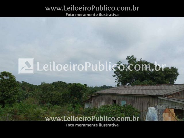 Alta Floresta (Mt): Imóvel 25,215 Ha — foto 5