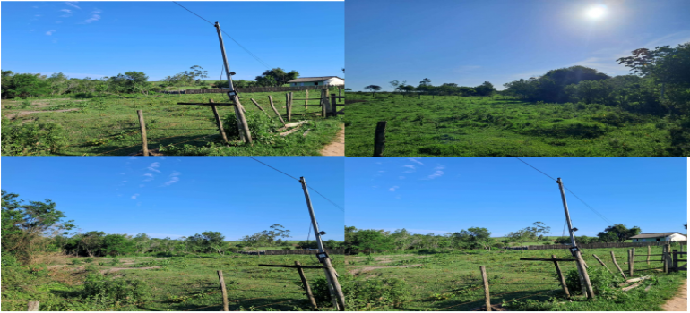 Fazenda Sapucaia, Área de 507