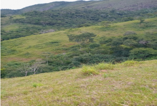 Fazenda Sapucaia, Área de 507 — foto 2