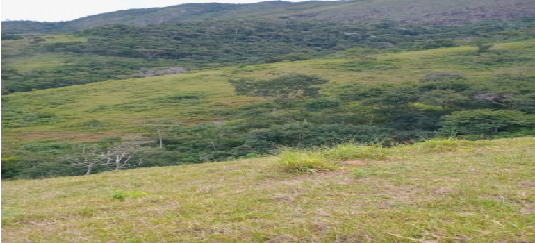 Área de 690.500m², Imóvel R — foto 2