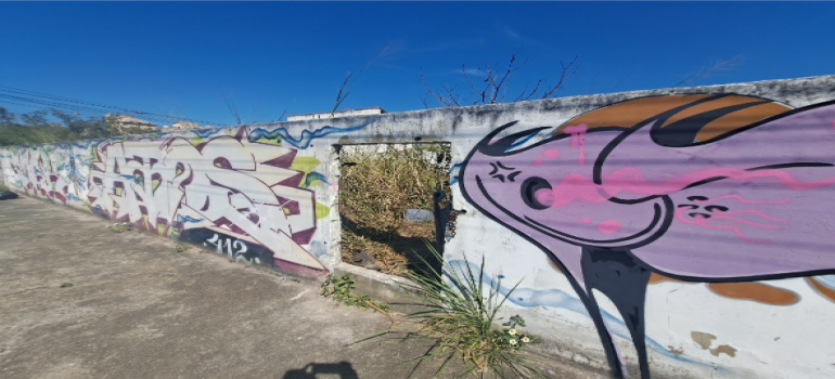Rua Sao Fidelis S/n, Terreno 6 — foto 3