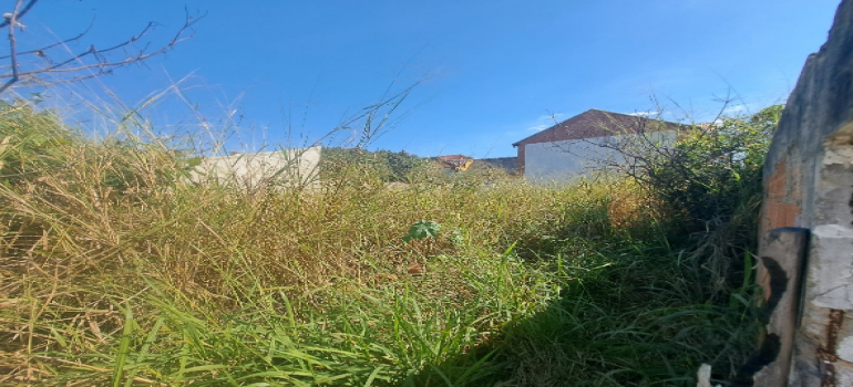 Rua Sao Fidelis S/n, Terreno 6 — foto 4