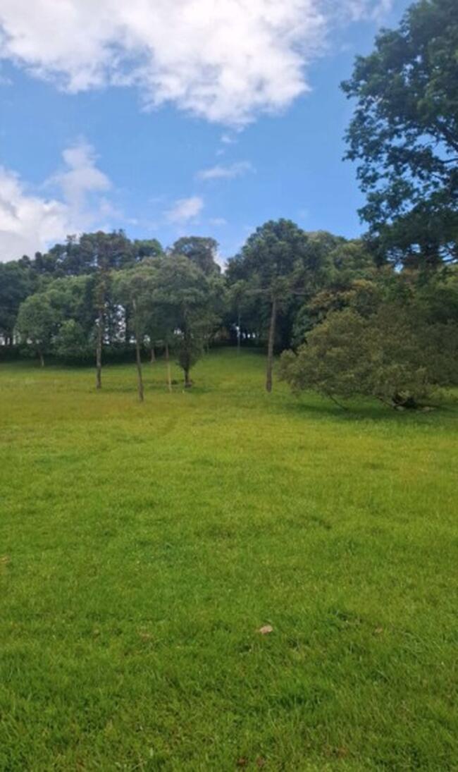 Parte Ideal - Imóvel Em Pitanga/PR — foto 3