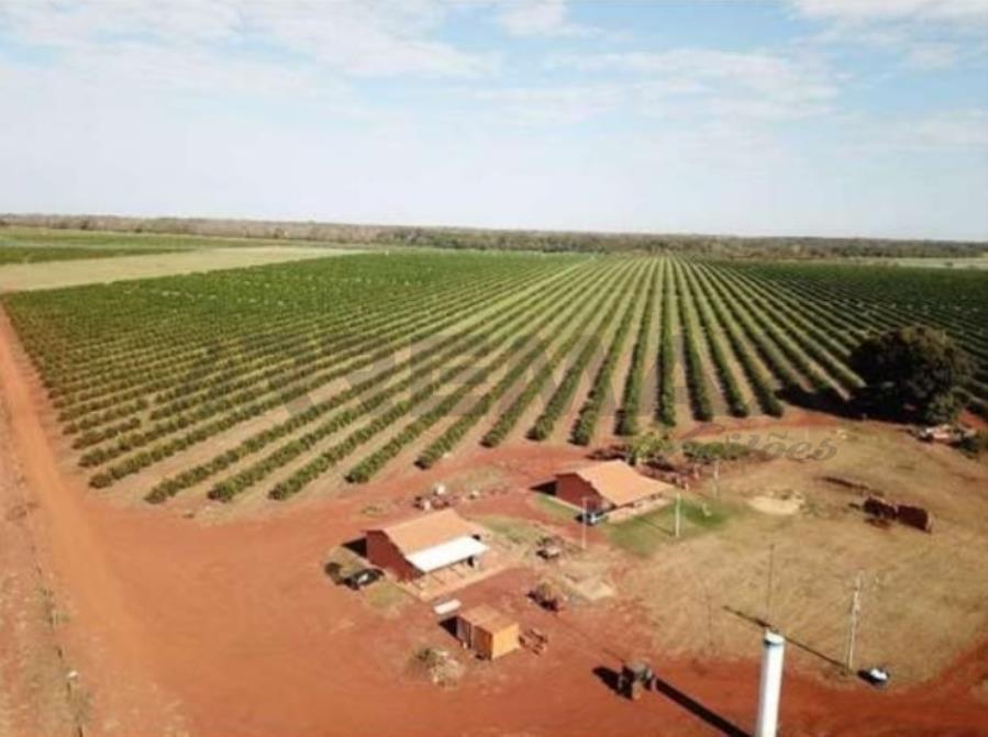 1(uma) Gleba de terras, com área de 128,98,84 hectares, denominada, “Fazenda Santa Terezinha”, (Quinhão 1), encravada no imóvel geral “Fazenda Marinheiro”, situada neste Município e Comarca de Cardoso, Estado de São Paulo área de 128,98,84 — foto 2