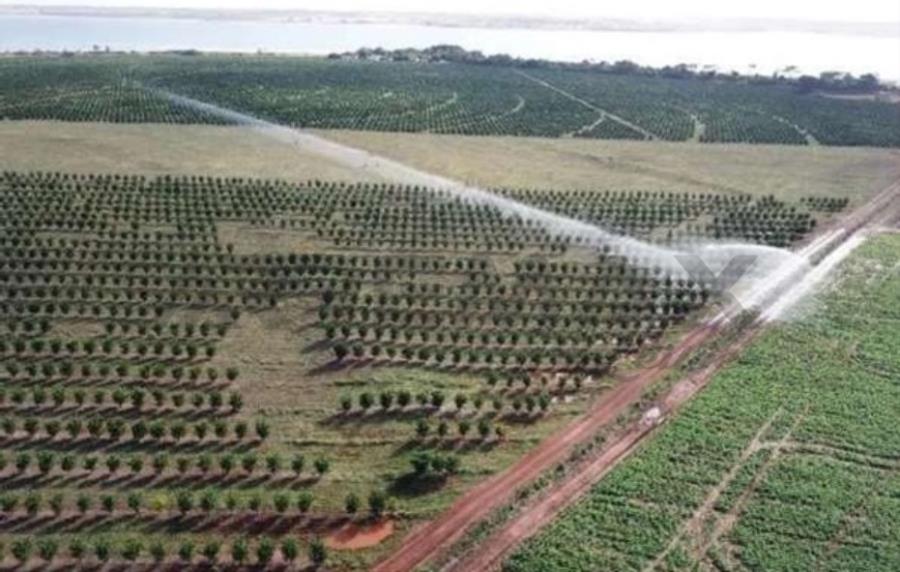 1(uma) Gleba de terras, com área de 128,98,84 hectares, denominada, “Fazenda Santa Terezinha”, (Quinhão 1), encravada no imóvel geral “Fazenda Marinheiro”, situada neste Município e Comarca de Cardoso, Estado de São Paulo área de 128,98,84 — foto 3