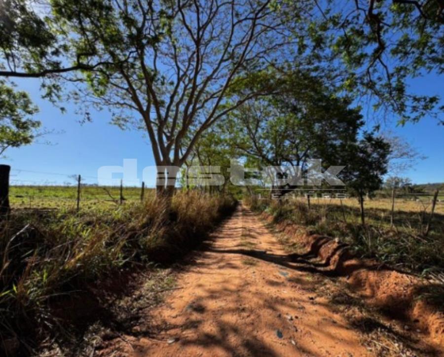 Imóvel Rural Sítio Santa Helena II em Oriente/SP — foto 3