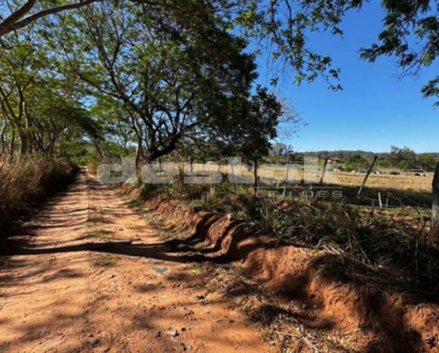 Imóvel Rural Sítio Santa Helena II em Oriente/SP — foto 4