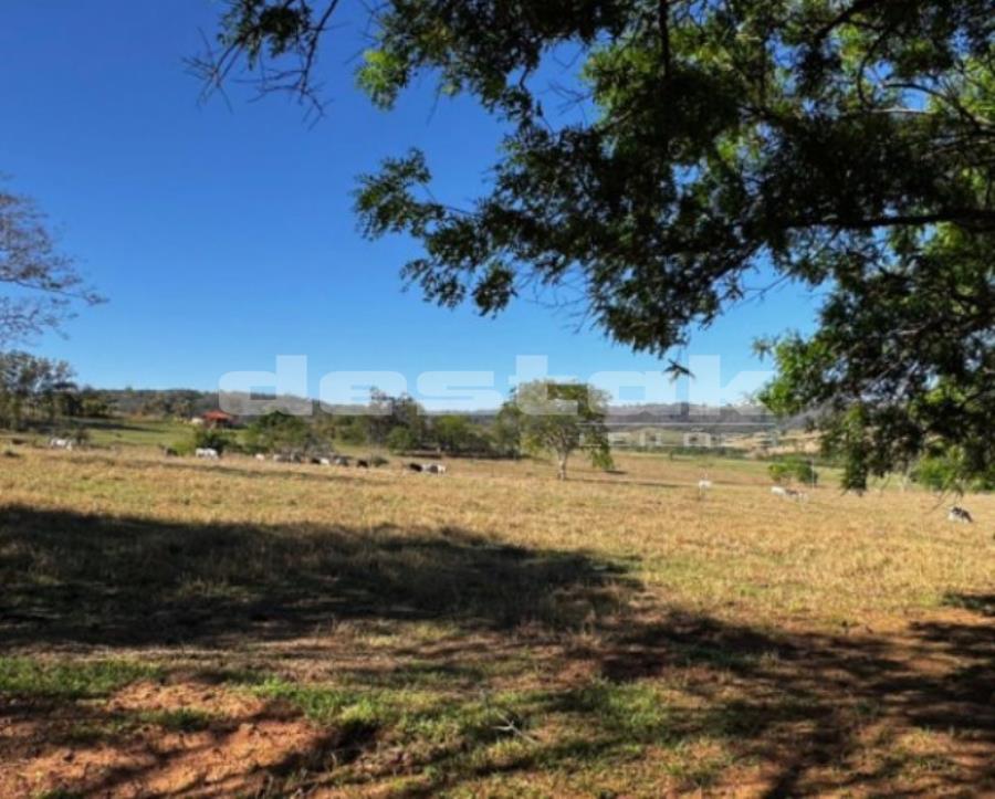 Imóvel Rural Sítio Santa Helena II em Oriente/SP — foto 5