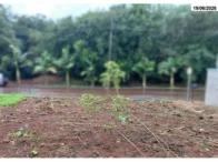 Terreno n°. 01-A-07 - 228,80m² - Colônia Missões — foto 4