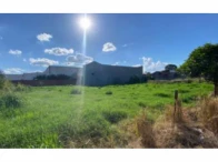 Terreno c/ 363m² - Herculândia/SP
