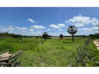 Sítio c/ 61,4 hectares - Quixadá/CE — foto 2