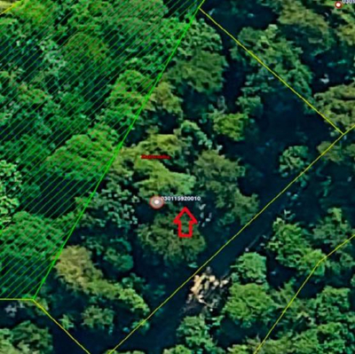 id 778 - Direitos Possessórios - Terreno - Ilhabela/SP — foto 3