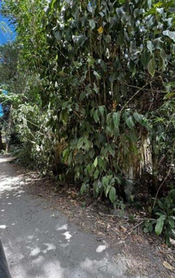 id 778 - Direitos Possessórios - Terreno - Ilhabela/SP — foto 4