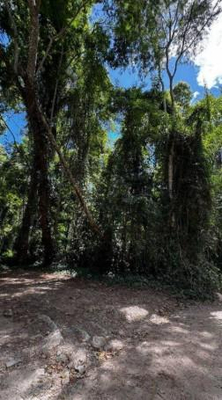 id 778 - Direitos Possessórios - Terreno - Ilhabela/SP — foto 5