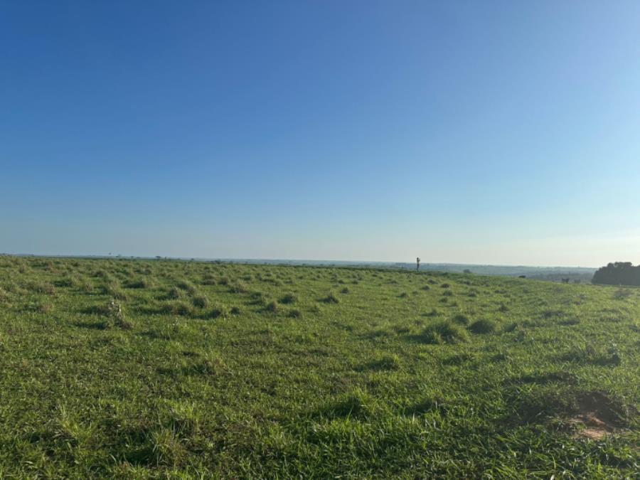 Imóvel Rural em Martinópolis ( SP) — foto 2