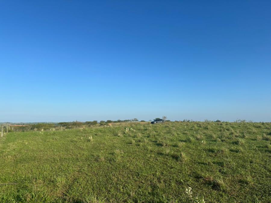 Imóvel Rural em Martinópolis ( SP) — foto 4