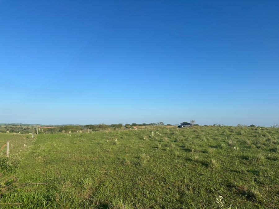 Imóvel Rural em Martinópolis ( SP) — foto 5