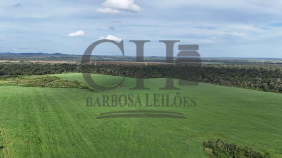 Imóvel Rural (538 Há) - Vila Rica/MT