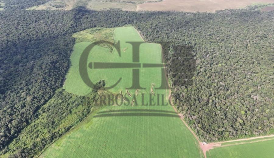 Imóvel Rural (538 Há) - Vila Rica/MT — foto 2