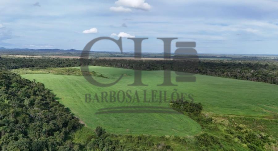 Imóvel Rural (538 Há) - Vila Rica/MT — foto 3