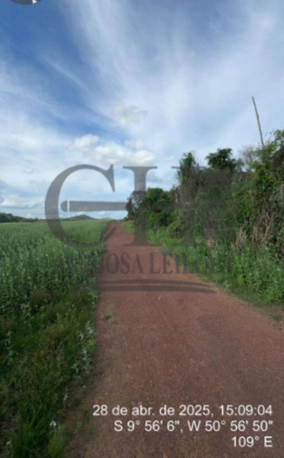 Imóvel Rural (538 Há) - Vila Rica/MT — foto 5