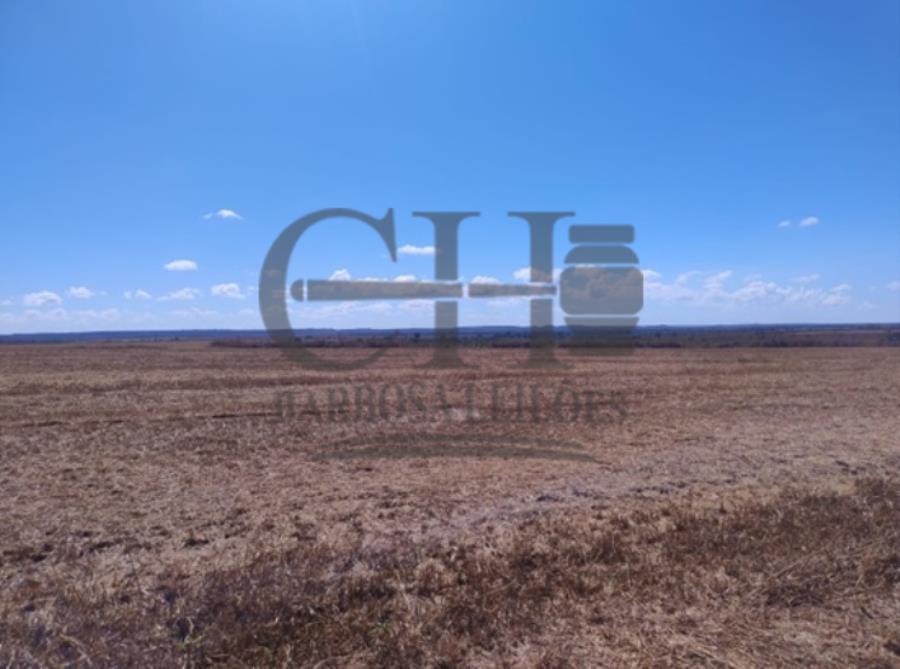 Imóvel Rural com 4.930 Há - Faz Planalto Ii Imóvel Rural C/4.930 Há (Aprox 2.000 Há de Plantio) — foto 2