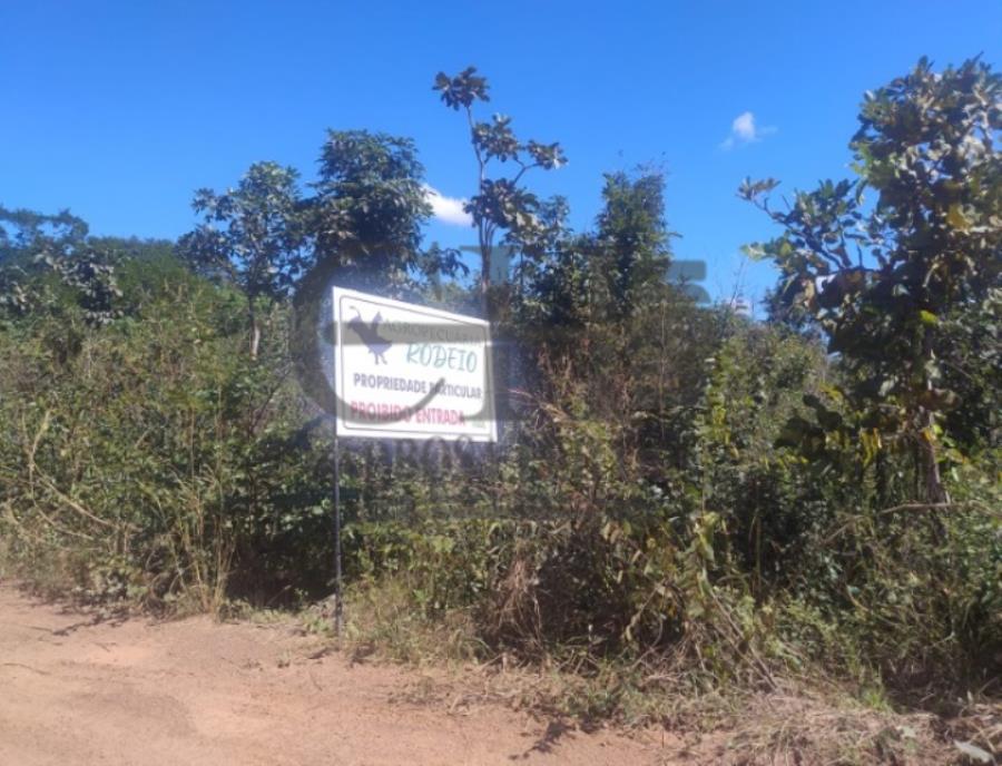 Imóvel Rural com 4.930 Há - Faz Planalto Ii Imóvel Rural C/4.930 Há (Aprox 2.000 Há de Plantio) — foto 3