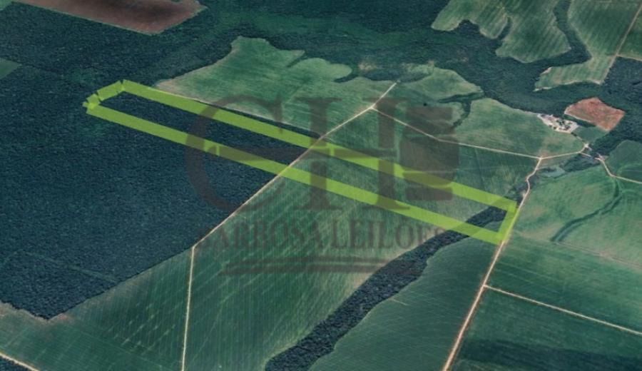 Imóvel Rural com 60,50 Há - Sinop Imóvel Rural com 60,50 Hectares - Sinop