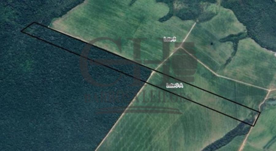 Imóvel Rural com 60,50 Há - Sinop Imóvel Rural com 60,50 Hectares - Sinop — foto 3
