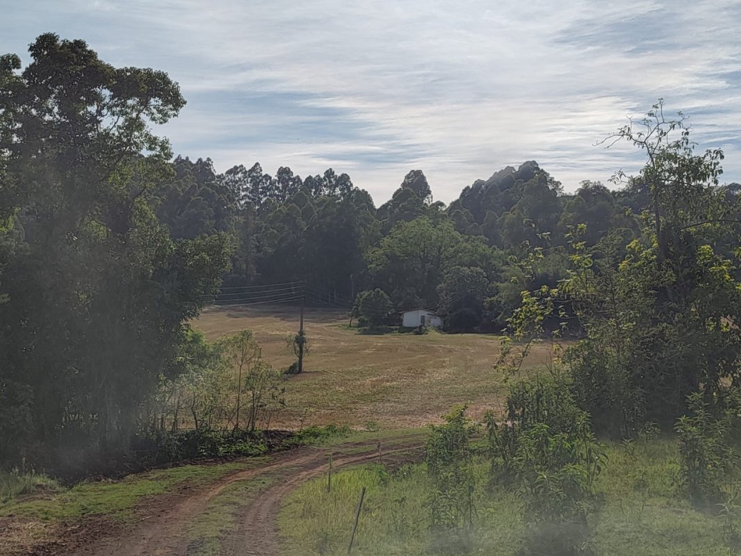 Imóvel Rural Com 68.000m² No Município De Novo Tiradentes — foto 2