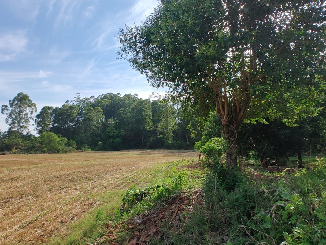 Imóvel Rural Com 68.000m² No Município De Novo Tiradentes — foto 3
