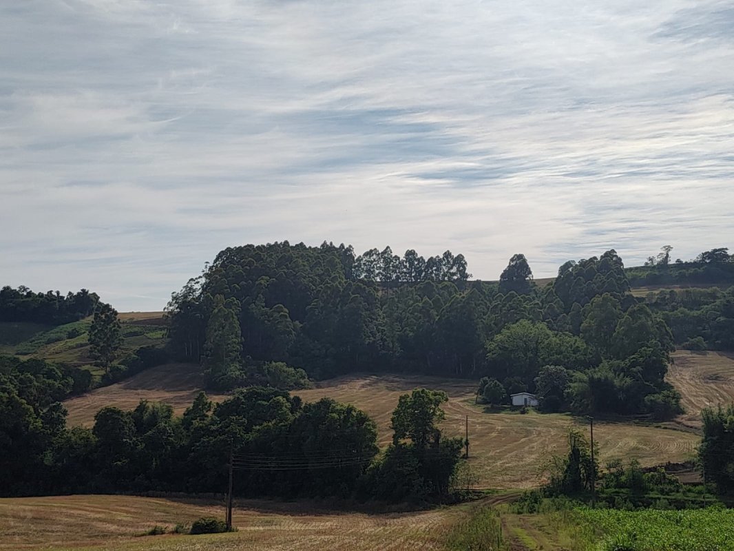 Imóvel Rural Com 68.000m² No Município De Novo Tiradentes — foto 4