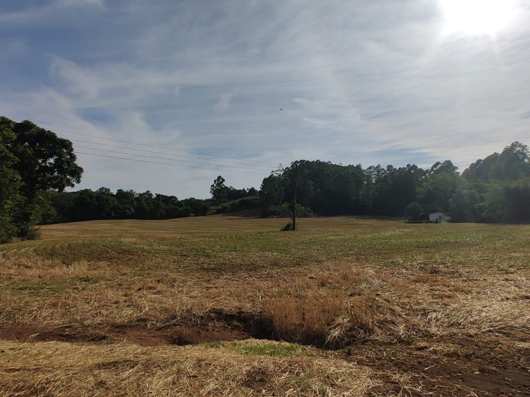 Imóvel Rural Com 68.000m² No Município De Novo Tiradentes — foto 5