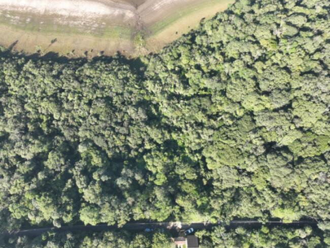 Terreno 1.900,00m² - Parque Das Garças, Santo André/SP — foto 5